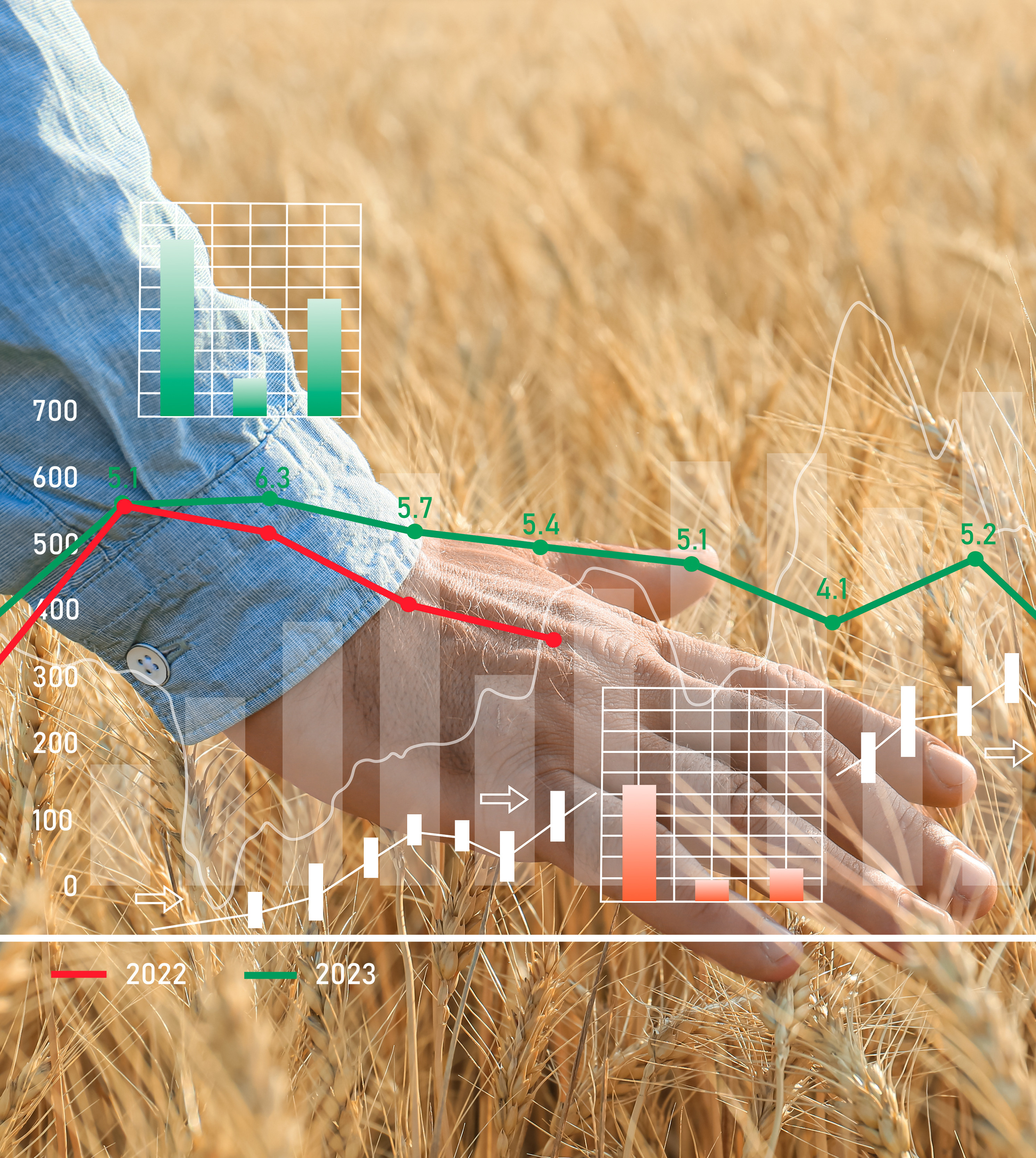 Grain buyer (m/f/d) Grain buyer (m/f/d)